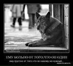 Фотография Темерова Игоря