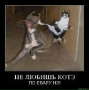 Андрій Криток фотография #45 (источник - https://vk.com/id75887278)