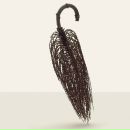 Alex Fox фотография #17 (источник - https://vk.com/id40662)