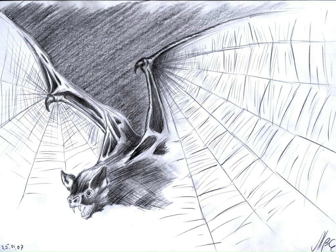 Александр Яркин фотография #6