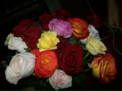 Фотография Унгемах Марины