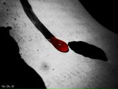 Den D фотография #45 (источник - https://vk.com/id9200327)