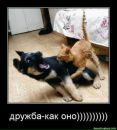 Сашко Федінчик фотография #26 (источник - https://vk.com/id167928114)