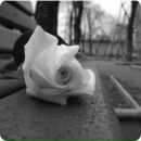 Анастасія Микулянич фотография #3 (источник - https://vk.com/id157328514)