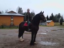 Фотография Карамишева Елена