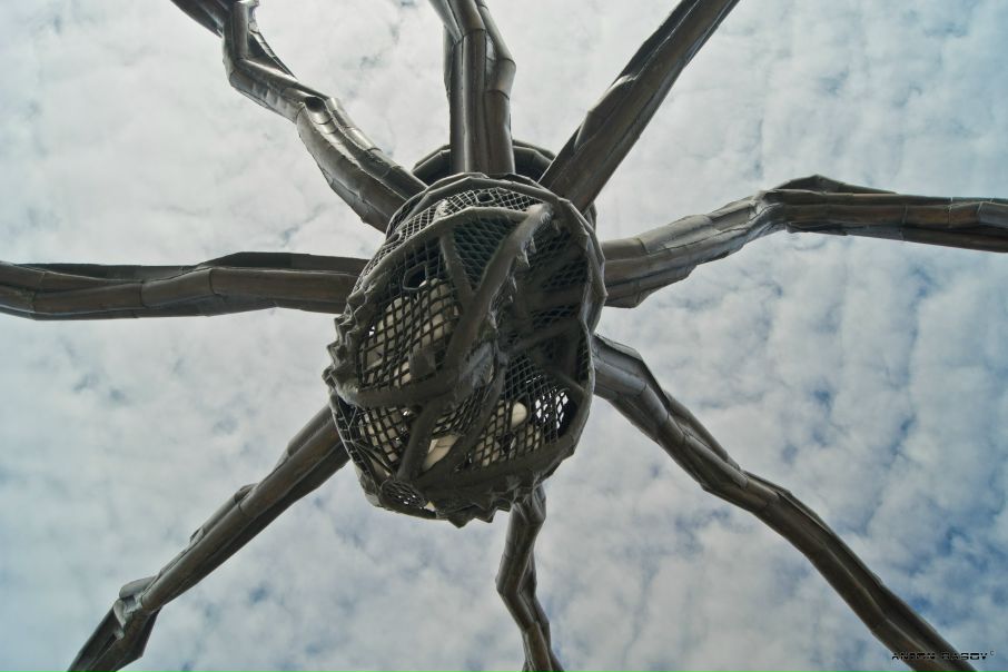 Антон Басов фото №29