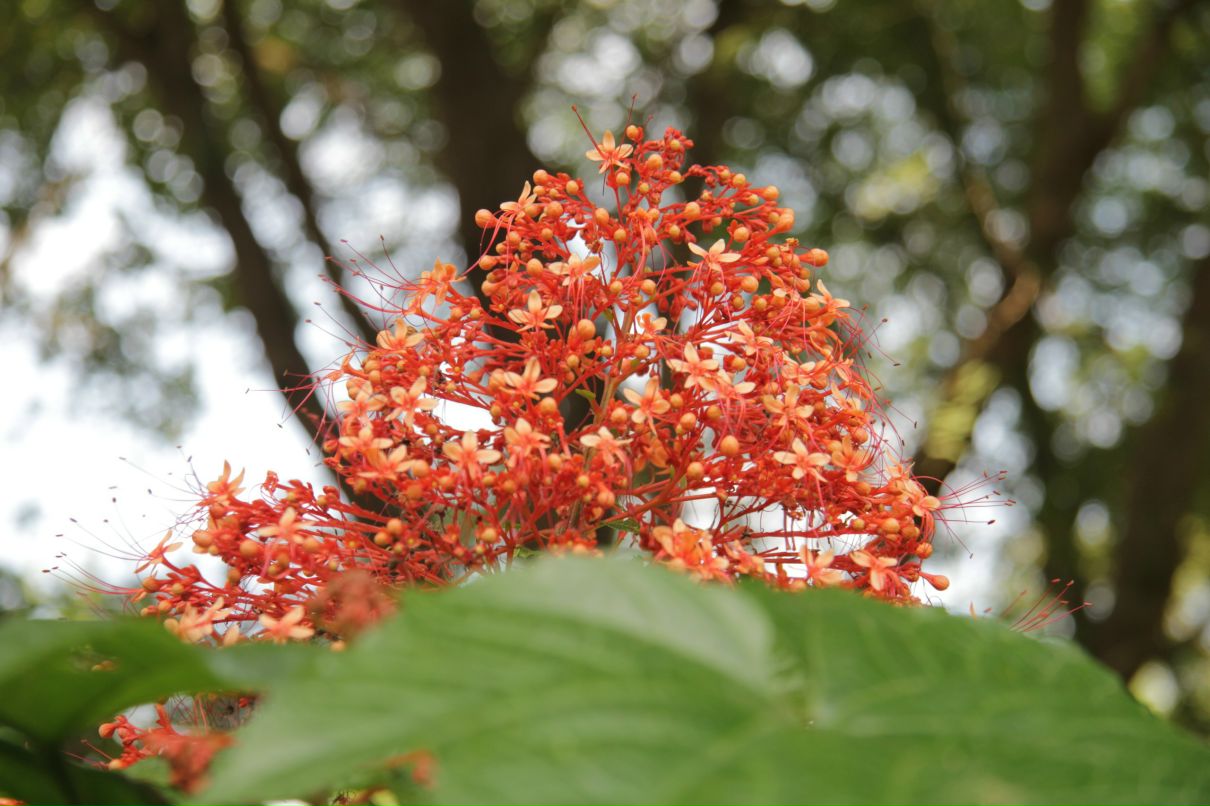 Дмитрий Симонов фотография #25