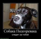 Фотография Федотовой Александры