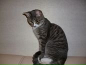 Фотография Герасимовой Татьяны