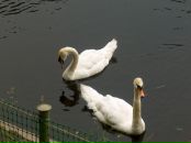 Фотография Бобр Екатерины