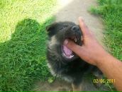 Андрій Остап'юк фотография #43 (источник - https://vk.com/id71971514)