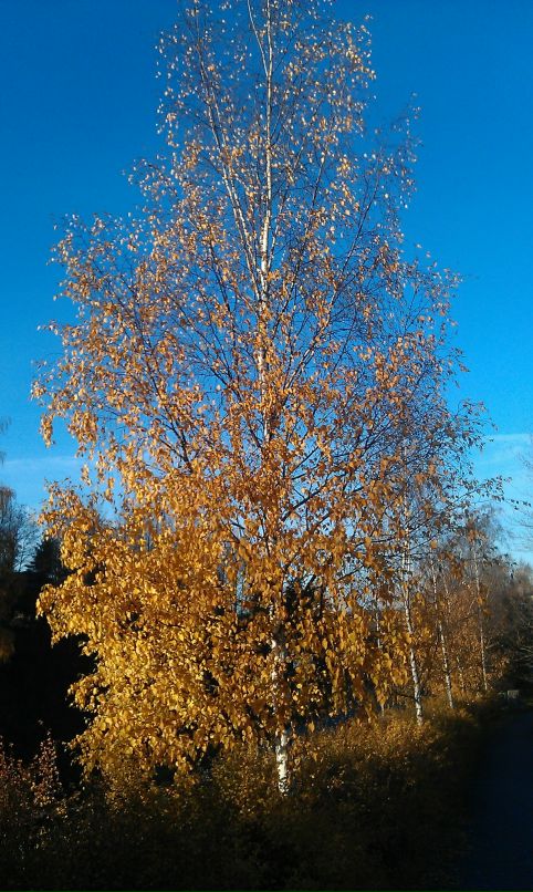 Степан Долбнин фотография #25