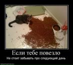 Андрій Дзядович фотография #49 (источник - https://vk.com/id24774404)