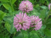 Маряна Сокіл фотография #10 (источник - https://vk.com/id8316949)