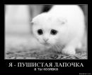 Фотография Веселковой Ларисы