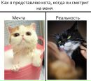 Ігор Примак фотография #49 (источник - https://vk.com/id134930790)