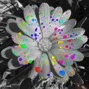 Крістіночка Лукашевич фотография #7 (источник - https://vk.com/id270519637)