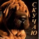 Катюха Прошошкина фотография #34 (источник - https://vk.com/id49381707)