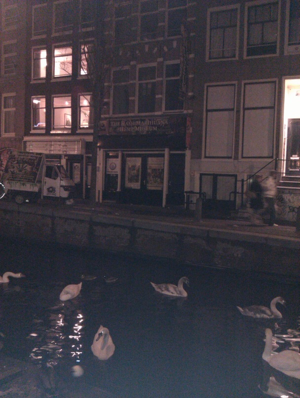 Роман Ткаченко фотография #47