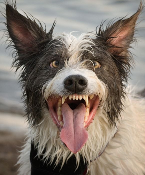 Андрей Горбунов фотография #1