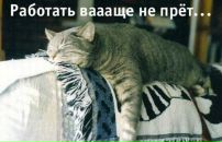 Фотография Новицкой Светы