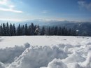 Вікторія Сенишин фотография #39 (источник - https://vk.com/id11939861)