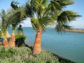 Ірина Лісович фотография #37 (источник - https://vk.com/id19871993)