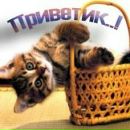 Юля Максимів фотография #10 (источник - https://vk.com/id153832541)