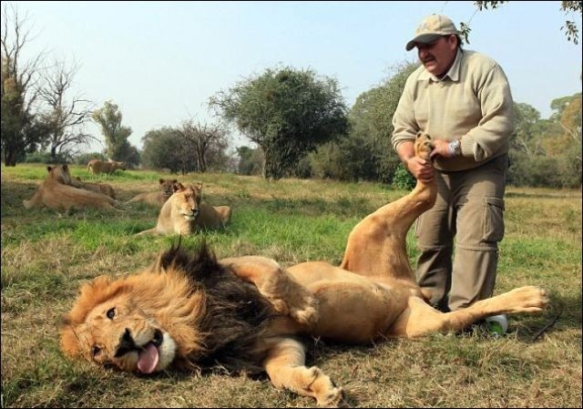 Володимир Бойко фотография #32