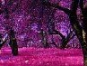Алінчик Черняк фотография #9 (источник - https://vk.com/id165543679)