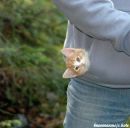 Ілля Сімішкур фотография #50 (источник - https://vk.com/id105028830)