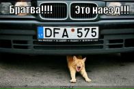 Андрій Нацюк фотография #2 (источник - https://vk.com/id123848117)