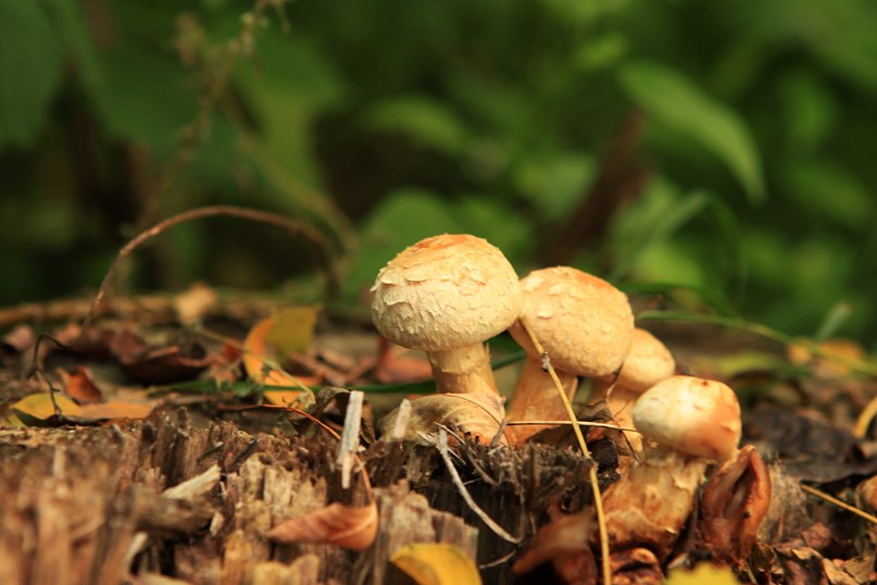 Сергей Севериненко фотография #12