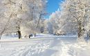 Фотография Безруковой Светланы