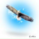 Фотография Лазарева Сергея