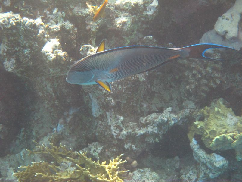 Борис Кишкилев фото №18