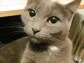 Артур Хайруллин фотография #18 (источник - https://vk.com/id4701778)