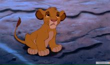 Фотография Домниковой Дианы