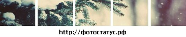 Ігор Лесик фотография #13 (источник - https://vk.com/id156412219)