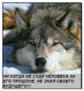 Руслана Федінчук фотография #39 (источник - https://vk.com/id143755952)