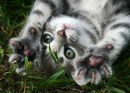 Фотография Колчевой Марии