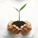 Фотография Лебедевой Екатерины