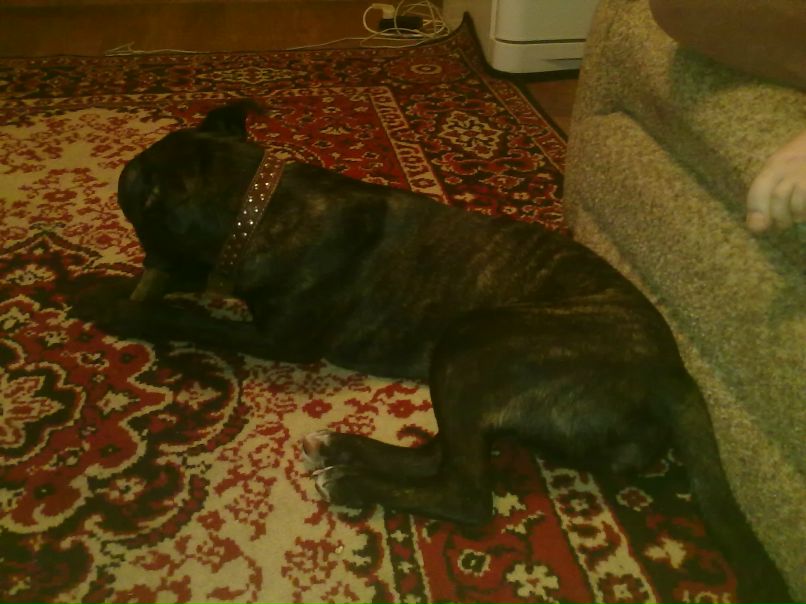 Серёга Линдт фотография #26