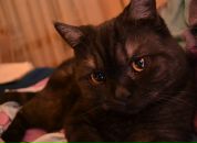 Фотография Мальчева Ярослава