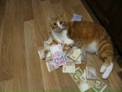 Андрій Семенюк фотография #40 (источник - https://vk.com/id37739262)