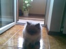Jam Me фотография #15 (источник - https://vk.com/id2437641)