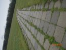 Мария Попенко фотография #7 (источник - https://vk.com/id18621389)