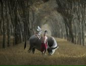 Коваленко Коваленко фотография #48 (источник - https://vk.com/id4151495)