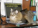 Аліна Андрієвська фотография #4 (источник - https://vk.com/id42367210)