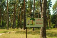 Фотография Усовой Светланы